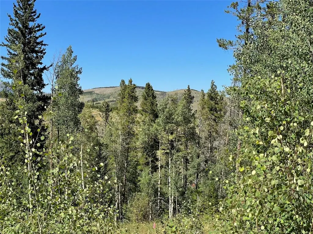 Frisco Colorado Condo For Sale 2